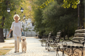 Senior woman walking with dog in park